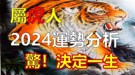 虎生肖|生肖虎: 性格，愛情，2024運勢，生肖1989，2001，2013